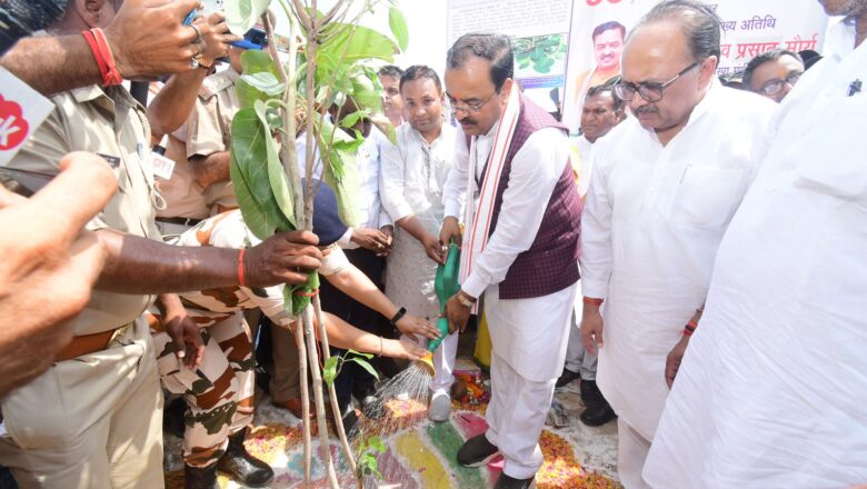 उपमुख्यमंत्री केशव प्रसाद मौर्य ने हरिशंकरी वाटिका का किया पौधरोपण,जनपद प्रयागराज में वृहद वृक्षारोपण कार्यक्रम के अवसर पर  64 लाख पौधों का किया गया रोपण